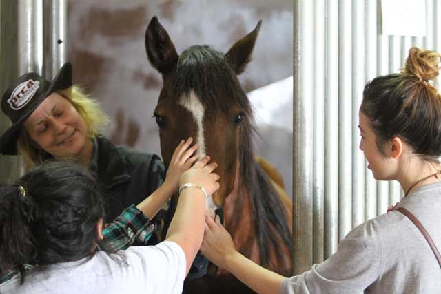 San Antonio Stock Show & Rodeo - FEBRUARY